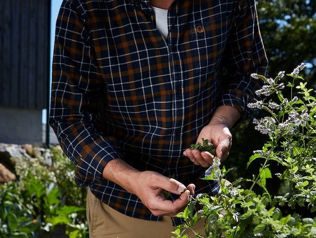 Executive Sous Chef Lukas Wieser sourcing greens at a farm
